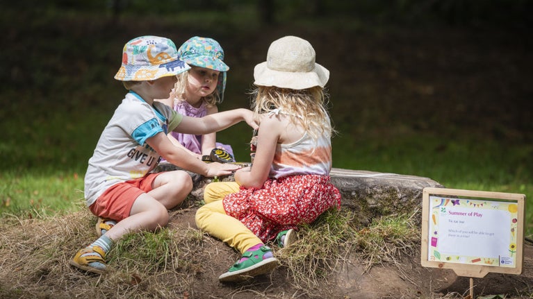 Children playing games around a tree stump